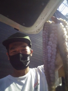 タコの釣果