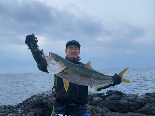 ヒラマサの釣果