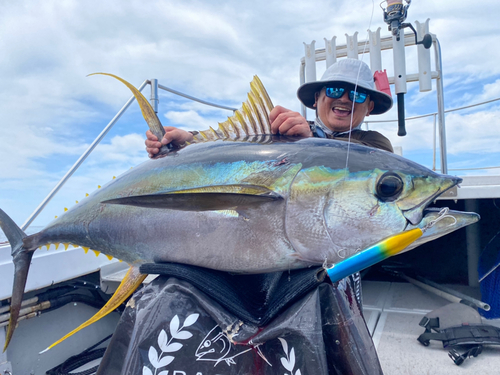 キハダマグロの釣果