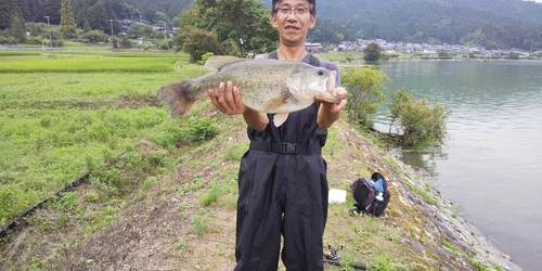 ブラックバスの釣果