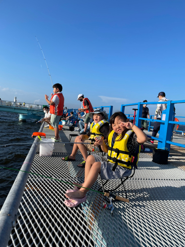 カタクチイワシの釣果