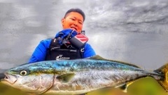 ワラサの釣果