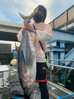 キハダマグロの釣果