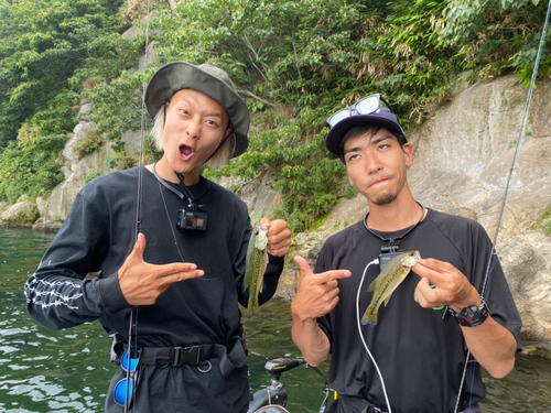 ブラックバスの釣果