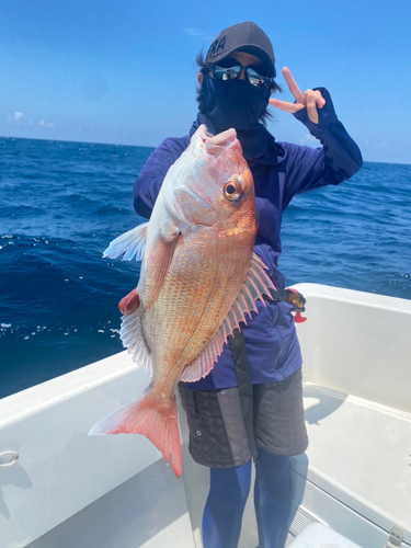 タイの釣果