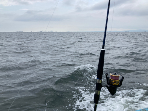 タチウオの釣果