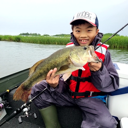 ブラックバスの釣果