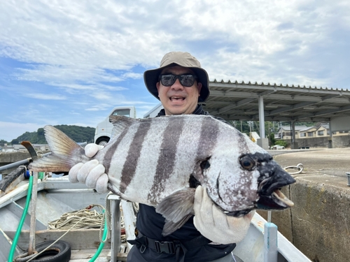 イシダイの釣果