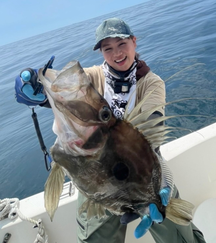 マトウダイの釣果