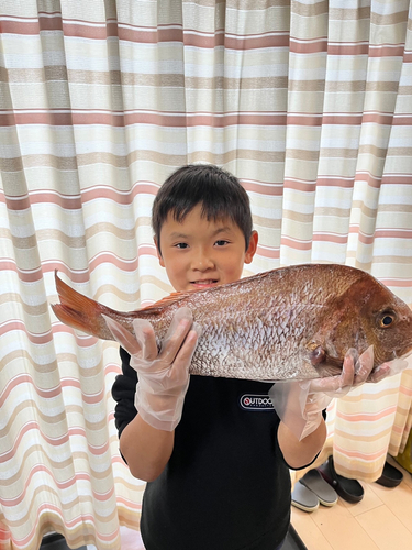 タイの釣果