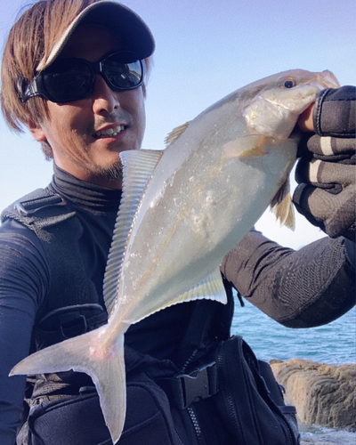 ネリゴの釣果