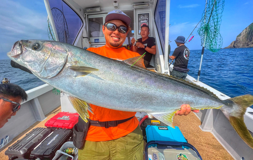 ヒラマサの釣果