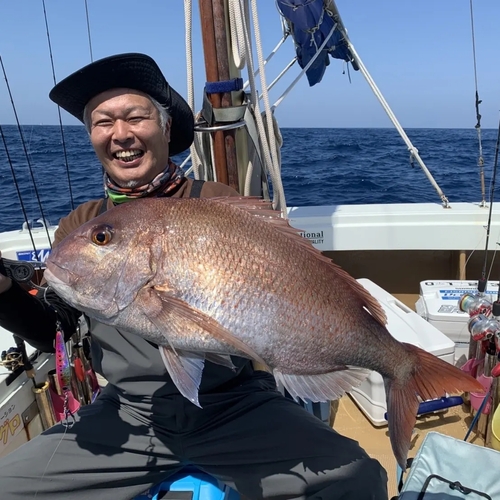 マダイの釣果