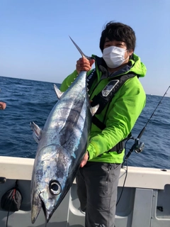 ビンチョウマグロの釣果