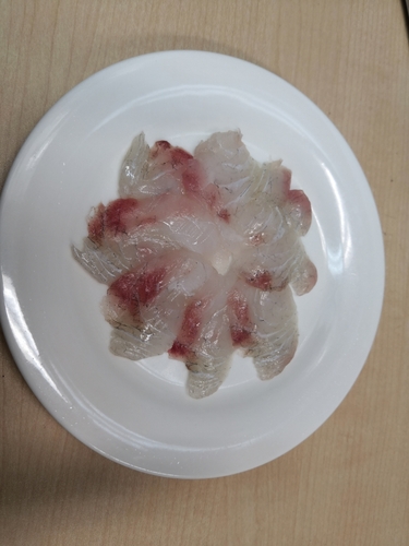 釣果