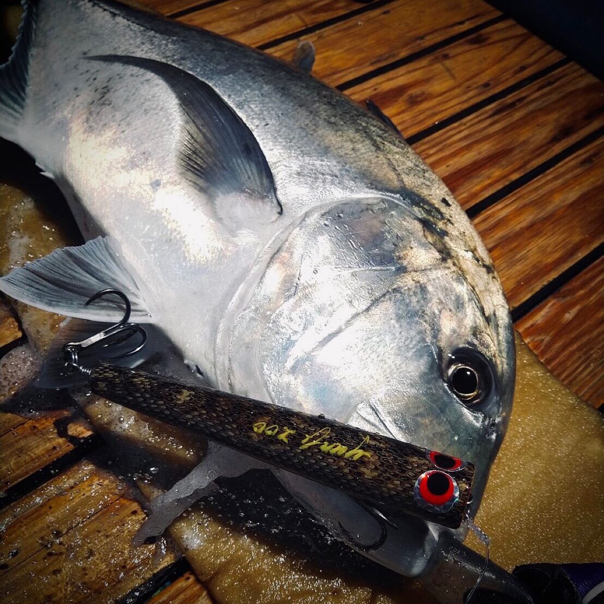 yunta_ lures@takaさんの釣果 2枚目の画像