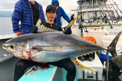 キハダマグロの釣果