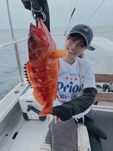 アカハタの釣果