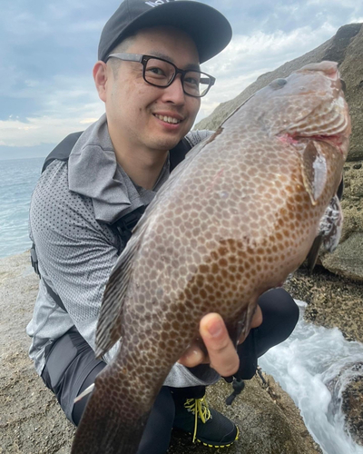 オオモンハタの釣果