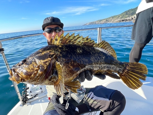 ベッコウゾイの釣果