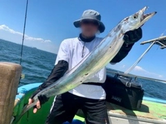 タチウオの釣果