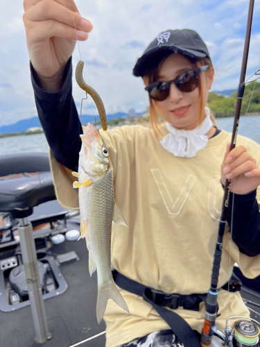 ニゴイの釣果