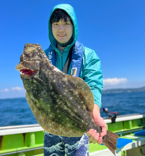 キハダマグロの釣果