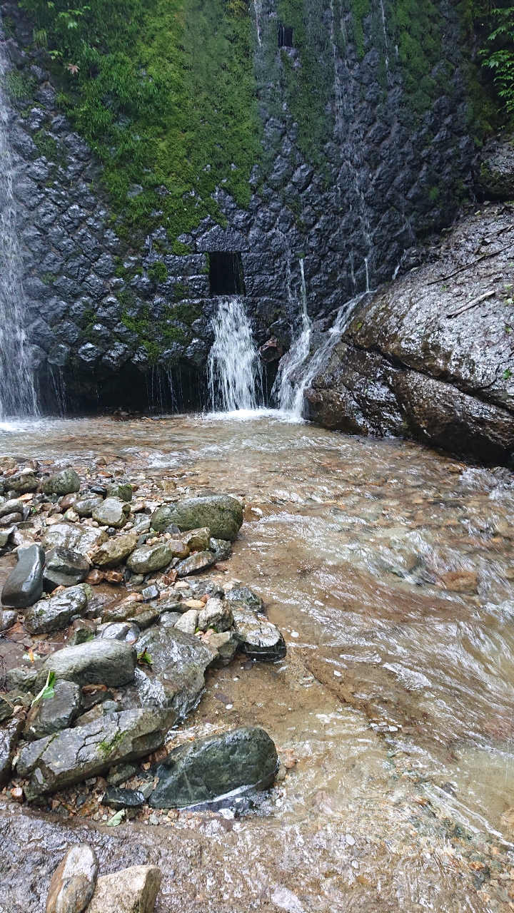 イワナ