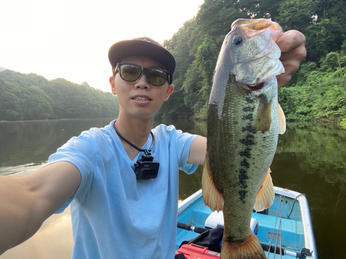 ブラックバスの釣果