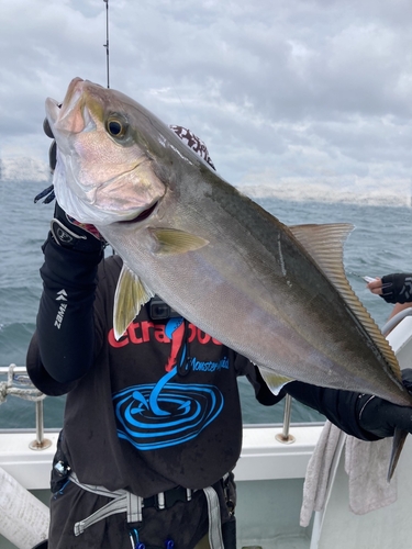 カンパチの釣果