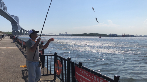 イシモチの釣果