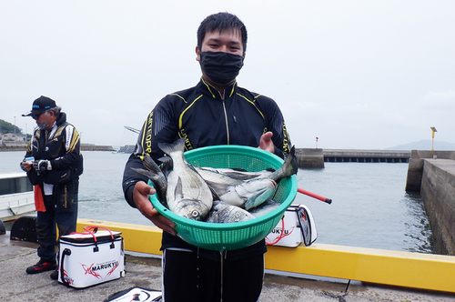 チヌの釣果