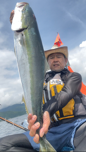 ブリの釣果