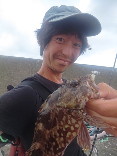 ガシラの釣果