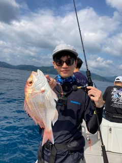 レンコダイの釣果