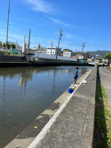 ハゼの釣果