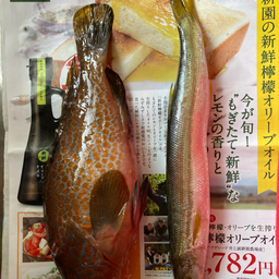 カマス