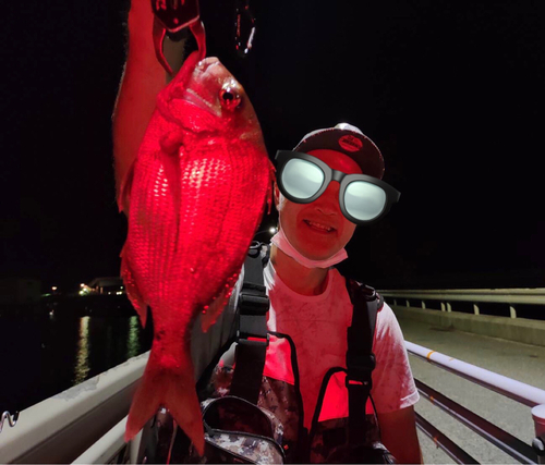 マダイの釣果