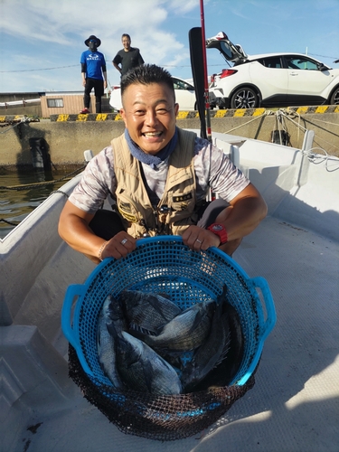 クロダイの釣果