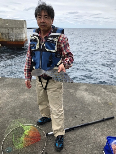 ソウシハギの釣果