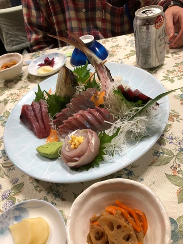 カンパチの釣果