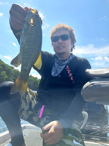 スモールマウスバスの釣果