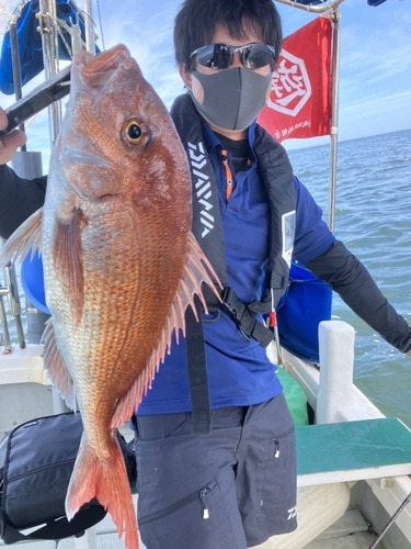 マダイの釣果