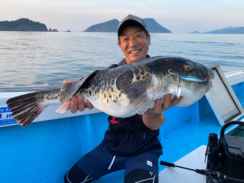 トラフグの釣果