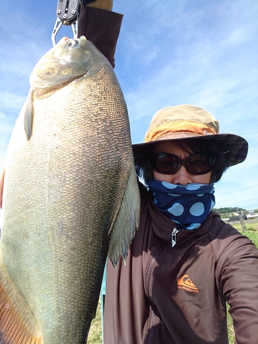 コロソマの釣果