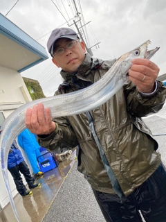 タチウオの釣果