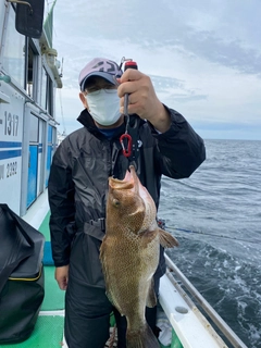 オオモンハタの釣果