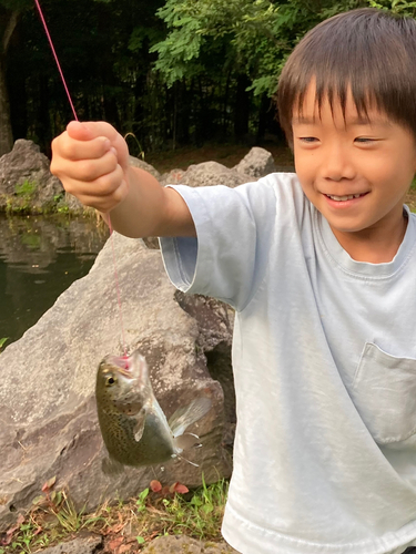 ニジマスの釣果