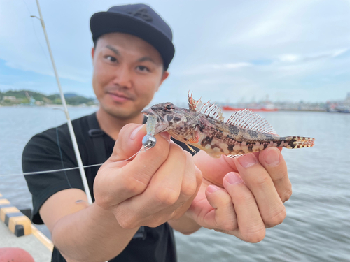 アサヒアナハゼの釣果