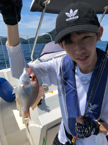 レンコダイの釣果